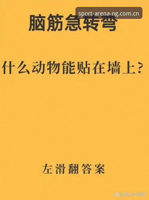 NG体育下载常见问题 揭秘NG体育下载常见问题:你遇到的90%技术难题,答案都在这