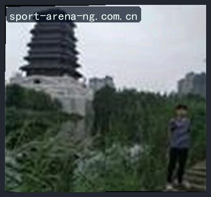 张哥